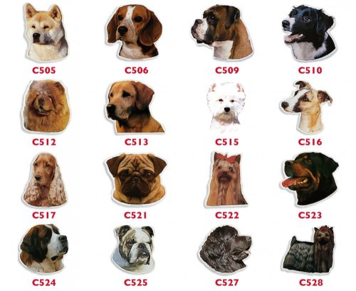 C513 Labrador retriever matrica 2 db-os