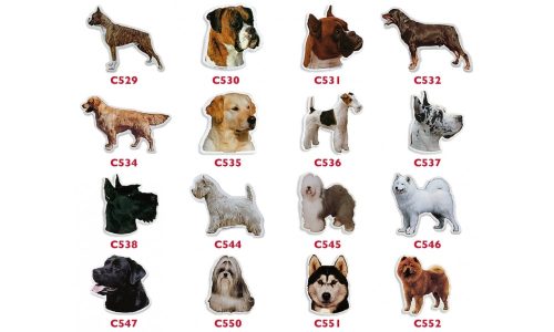 C534 Golden retriever (teljes) matrica 2 db-os